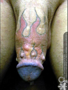 Fig 8